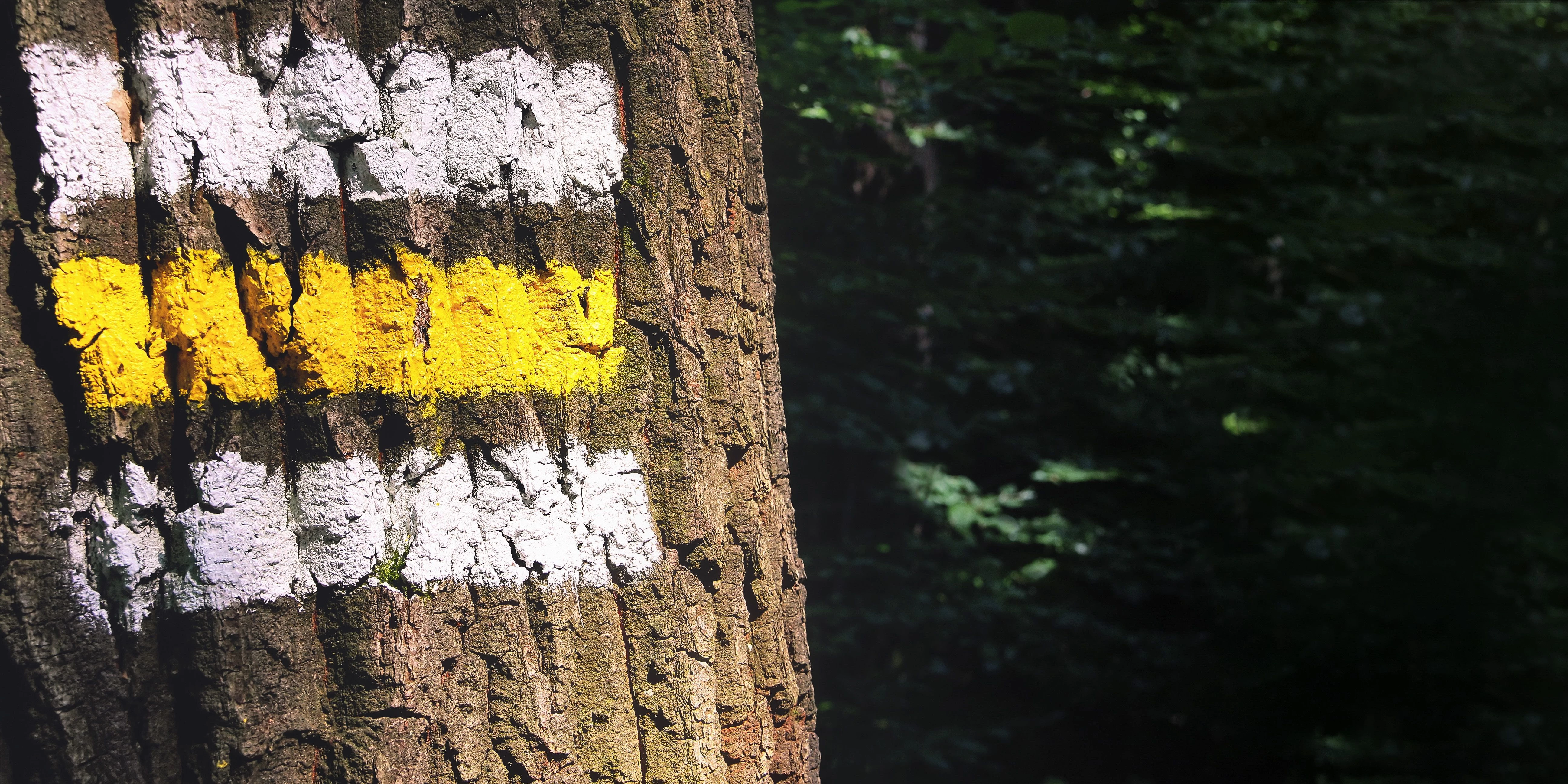 Signs of Codependency: 8 Patterns to Recognize